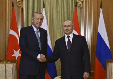 Cumhurbaşkanı Erdoğan, Putin ile görüştü