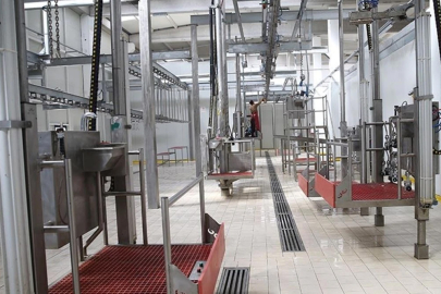 Kesimhanelerde yeni dönem! Artık zorunlu oldu