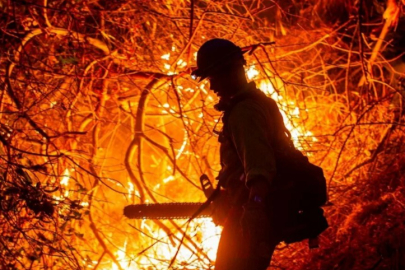 California yangınları: Zenginlerin tercihi özel itfaiye oldu