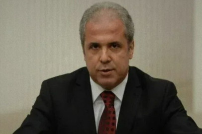 Erken seçim için tarih verdi: Şamil Tayyar’dan dikkat çeken açıklama