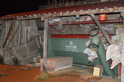 Yem karma makinesinde korkunç kaza! Hayata veda etti