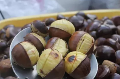 Kış aylarının vazgeçilmezi kestane hangi faydaları sunuyor?