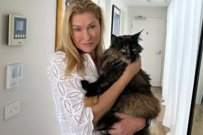 Kedi Mittens'tan rekor uçuş! 24 saatte iki ülkeye gitti