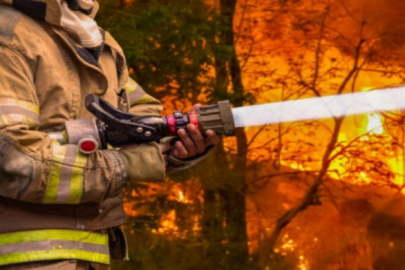 California’daki yeni yangın, rüzgarla büyüdü