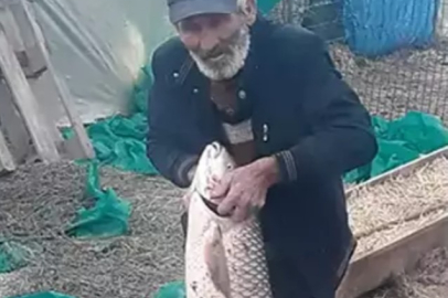 Edirne’de 1 metre boyunda 13 kilo ağırlığında sazan balığı yakalandı