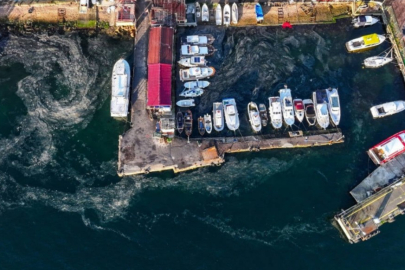 Marmara Denizi'nde müsilaj alarmı: Adalar ilçesinde yeniden yoğunlaştı