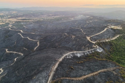 Orman yangınlarına karşı "güvenlik kuşakları" oluşturulacak