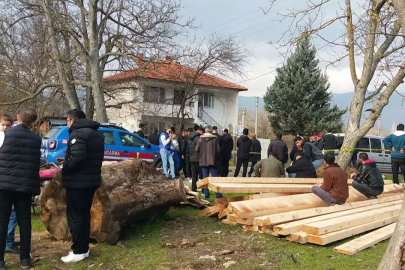 Çanakkale'de korkunç olay! Başı gövdesinden ayrılmış halde bulundu