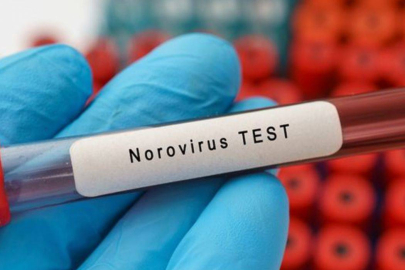 Dünyanın yeni salgını noravirüs: Nedir, belirtileri nelerdir, nasıl korunulur?