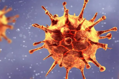 Çinli bilim insanlarından uyarı: Yeni virüs insanlara bulaşabilir mi?