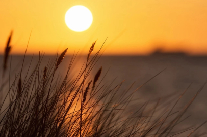 Hafta sonu sıcaklıklar artıyor! Ülke genelinde yağış beklenmiyor