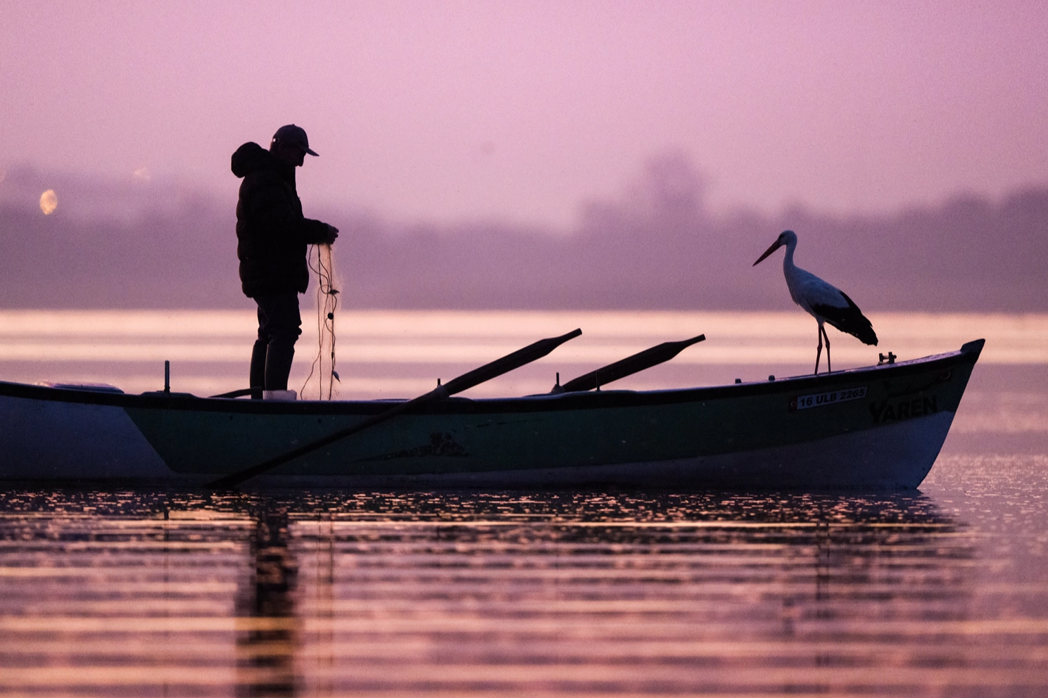Yaren Leylek geldi: 14 yıl oldu! Yine Adem Yılmaz'ın kayığına kondu