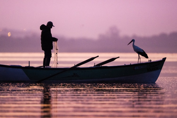 Bursa'nın Karacabey ilçesinde, Uluabat Gölü'nün kıyısındaki kırsal Eskikaraağaç Mahallesi'nin simgesi