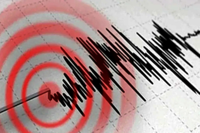 Bingöl'de korkutan deprem! AFAD ilk verileri paylaştı