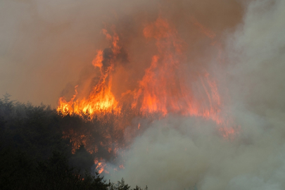Orman yangınları günlerdir kontrol altına alınamadı: Bölge tahliye ediliyor