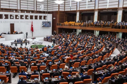 Türkiye'nin ilk iklim kanunu için gözler Meclis'te