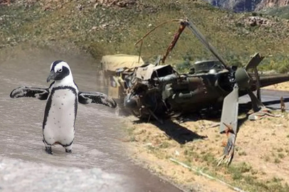 Helikopter kazasına penguen neden oldu: Resmî rapor detayları ortaya çıktı