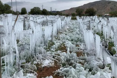 Zirai don olayına ilişkin Meclis Araştırma Komisyonu kurulması kararı Resmi Gazete'de