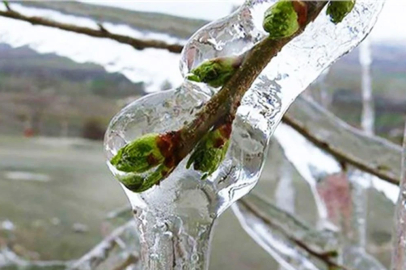 Nisan ayında 3 il ve 20 ilçede en düşük sıcaklık rekoru