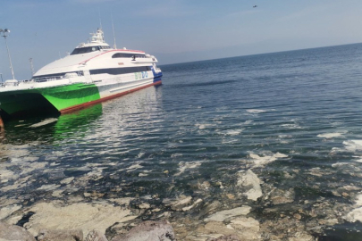 Müsilaj Bursa sahilinde de yoğunlaştı