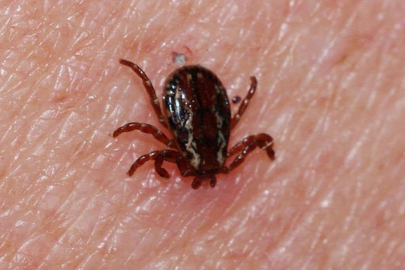 Tokat'ta KKKA şüphesiyle tedavi gören bebek hayatını kaybetti