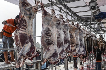 Uzmanlara göre, kurban kesimi profesyonel kişilerce yapılmalı