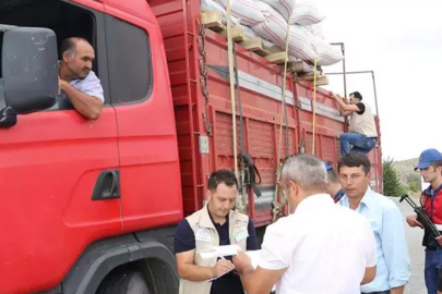 Kurban Bayramı öncesinde 375 bin kurbanlık kontrol edildi