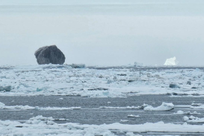 Nadir görülen siyah buzdağı viral oldu