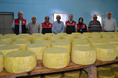 Muş'ta üretilen eski kaşar peyniri ülkenin dört bir yanına pazarlanıyor