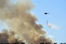 Bornova’da orman yangını: 455 ev boşaltıldı