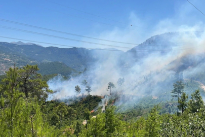 Sakarya’dan Antalya’ya yangınlarla mücadele sürüyor