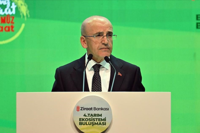 Mehmet Şimşek'ten 'enflasyon' mesajı