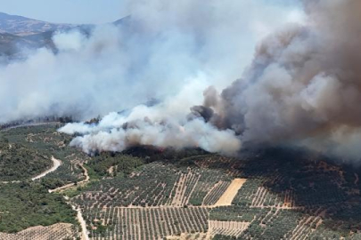 Akhisar'daki orman yangınına müdahale 3. gününde sürüyor