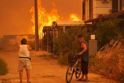 Son 3 günde 263 orman yangını: 259’u kontrol altına alındı