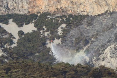 Bilecik'teki orman yangını kontrol altına alındı