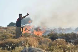 İzmir'deki orman yangınında iki kişi yaşamını yitirdi