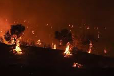 İzmir ve 5 ilde orman yangınları kontrol altına alındı