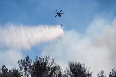 Bakan Tunç: Orman yangınlarıyla ilgili 13 kişi tutuklandı