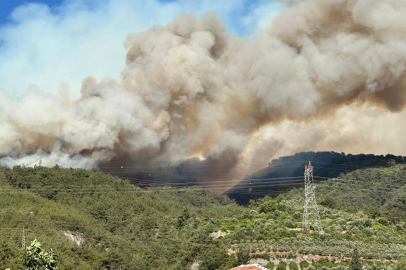 Hatay'daki orman yangınıyla ilgili bir şüpheli tutuklandı