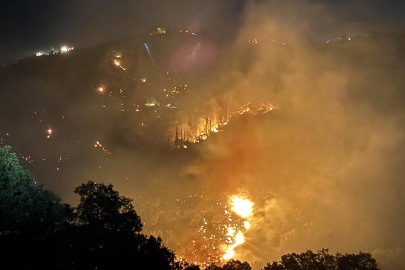 Uşak ve Manisa'daki yangınlar kontrol altında