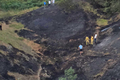 Yalova-Bursa sınırında çıkan orman yangını kontrol altına alındı