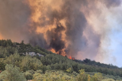 3 ilde orman yangını