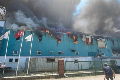 Bolu'da fabrika yangını