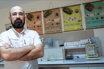 Uzmanından "Kene riski şehirlerden çok kırsalda yüksek" uyarısı