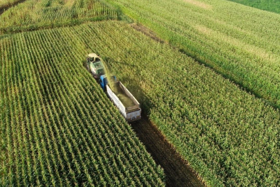 Tarım ÜFE haziranda arttı