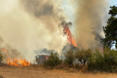 Çanakkale'deki orman yangını kontrol altına alındı