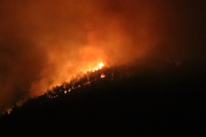 Alevlerle mücadelede son durum! 6 ilde alevlerle mücadele sürüyor