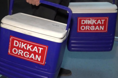 Organ bağışı e-Devlet ve e-Nabız'dan yapılabilecek