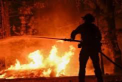 Bursa’da orman yangınında görevli itfaiyeci hayatını kaybetti