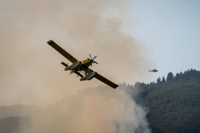 Muğla'da çıkan orman yangınlarının yüzde 88'i insan kaynaklı